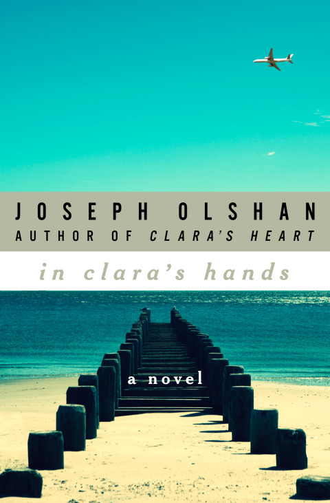 Cover image for book In Clara's Hands