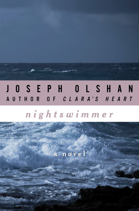 Cover image for book Nightswimmer