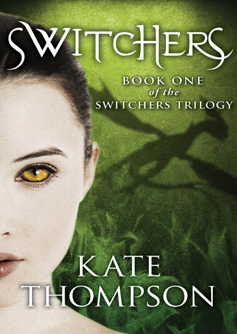 Cover image for book Switchers