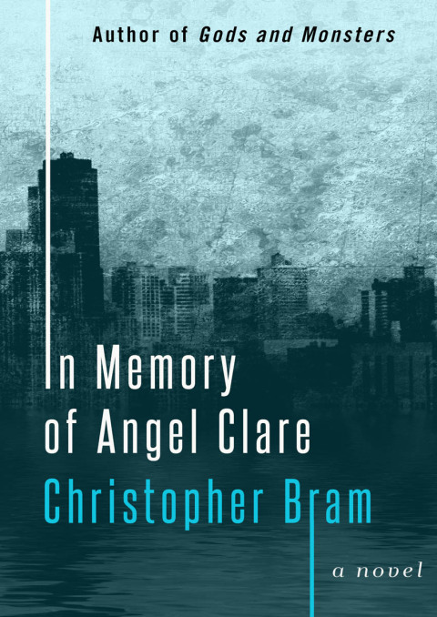 Cover image for book In Memory of Angel Clare