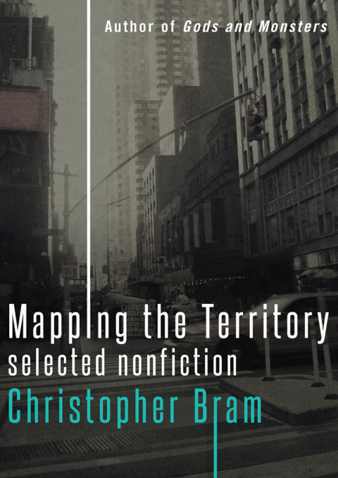 Cover image for book Mapping the Territory