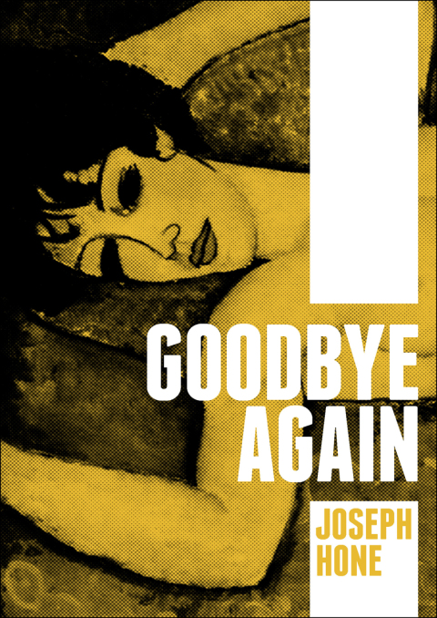 Cover image for book Goodbye Again