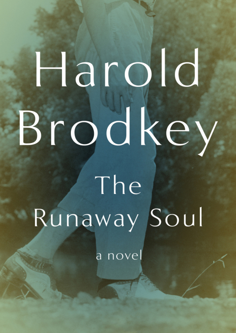 Cover image for book The Runaway Soul