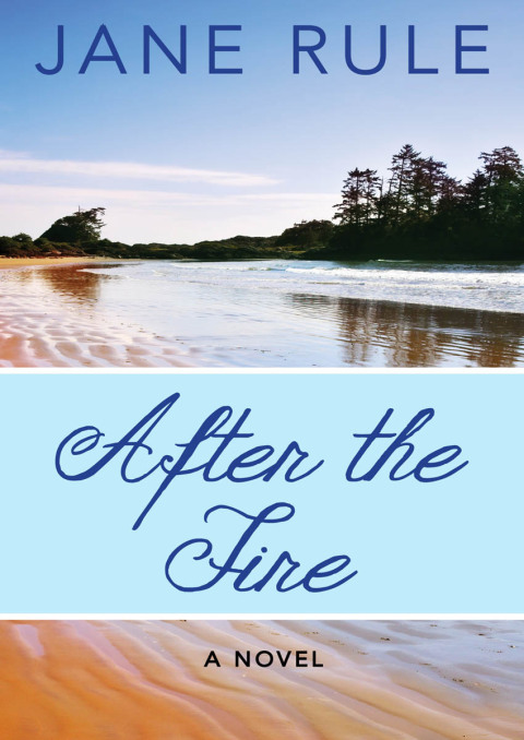 Cover image for book After the Fire