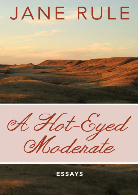 Cover image for book A Hot-Eyed Moderate