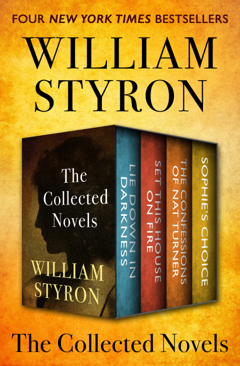 Cover image for book The Collected Novels