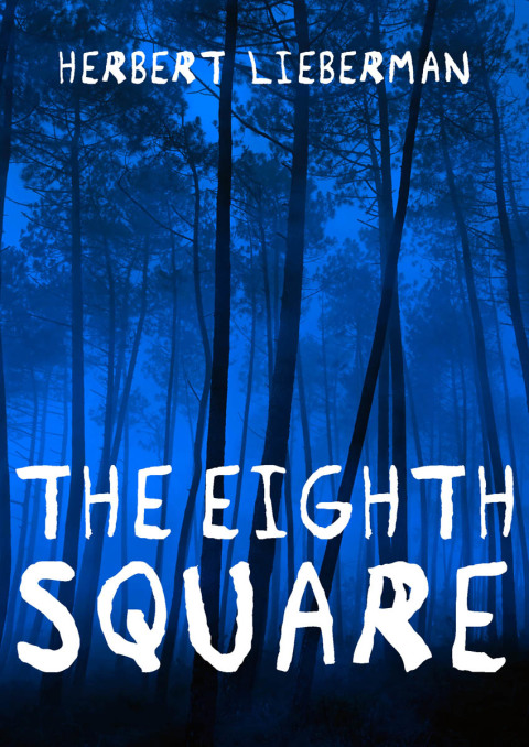 Cover image for book The Eighth Square