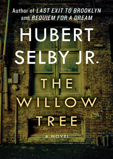Cover image for book The Willow Tree