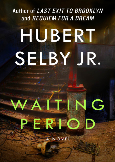 Cover image for book Waiting Period