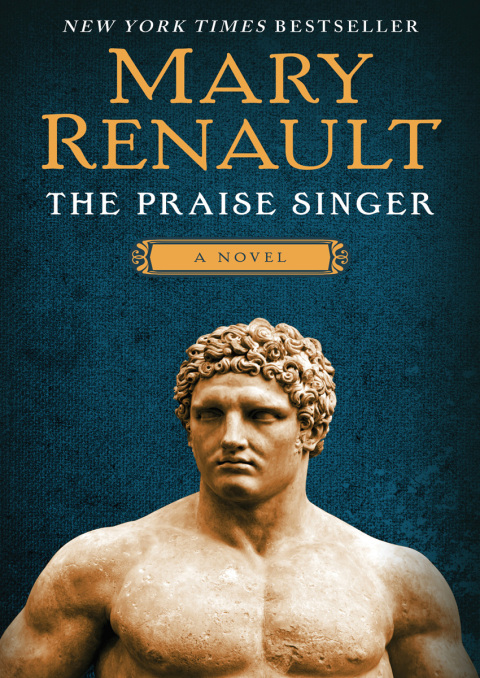 Cover image for book The Praise Singer