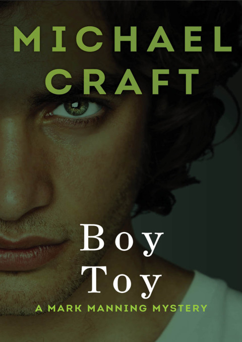 Cover image for book Boy Toy