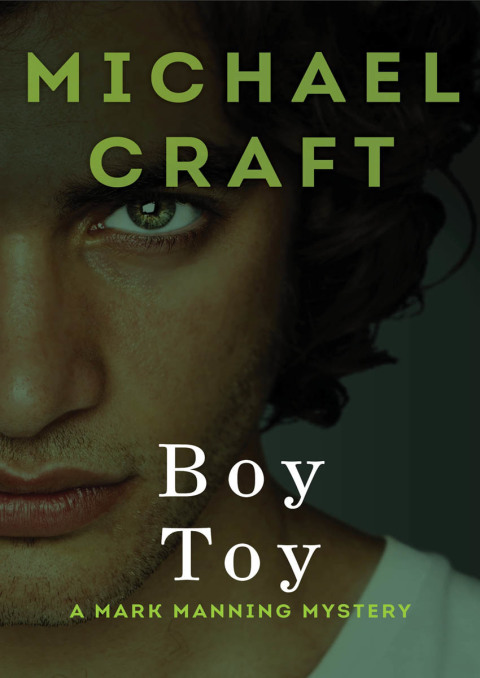 Cover image for book Boy Toy