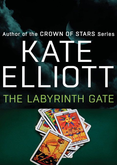 Cover image for book The Labyrinth Gate
