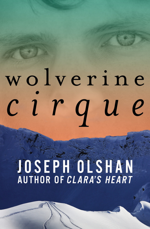 Cover image for book Wolverine Cirque