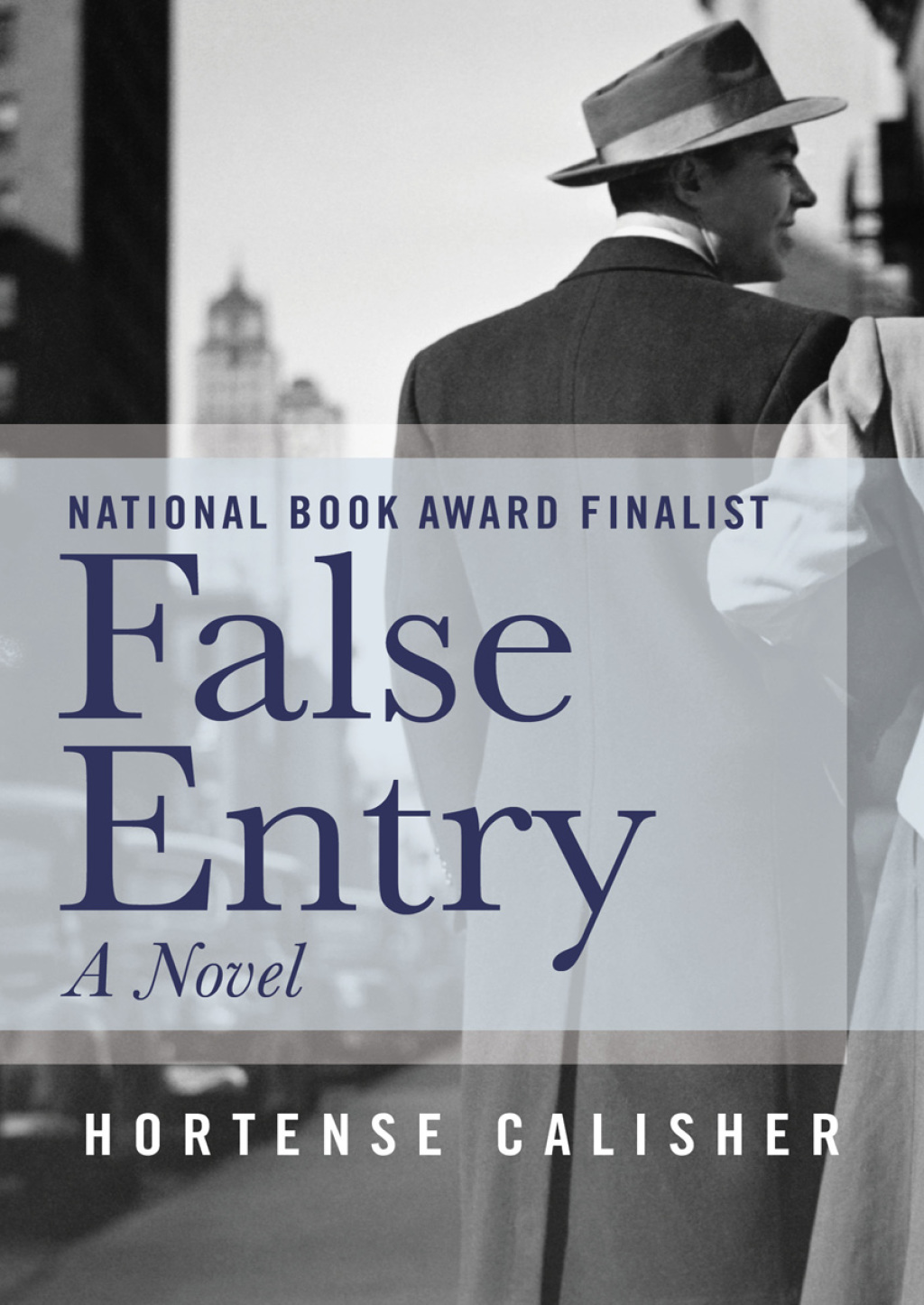 False Entry (eBook)