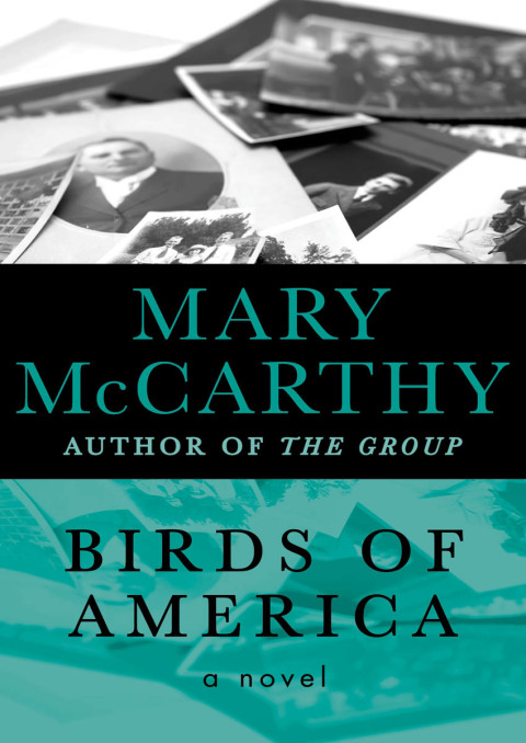 Cover image for book Birds of America
