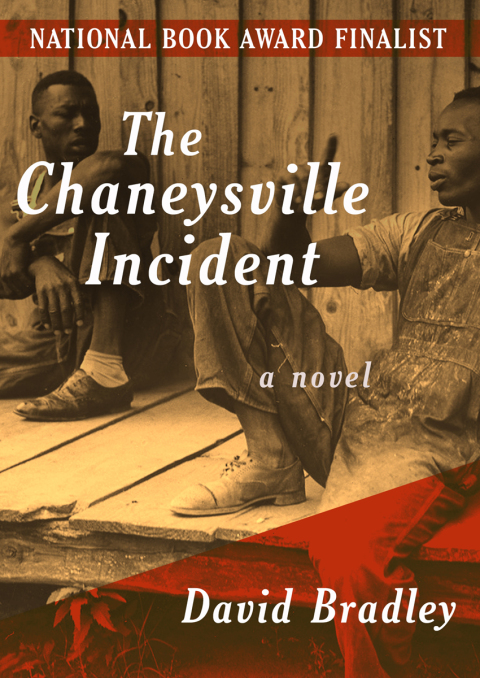 Cover image for book The Chaneysville Incident