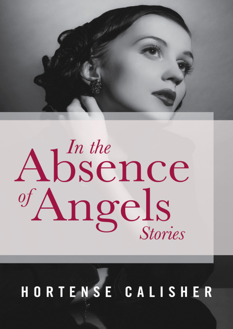 Cover image for book In the Absence of Angels
