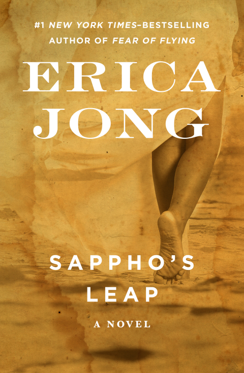 Cover image for book Sappho's Leap