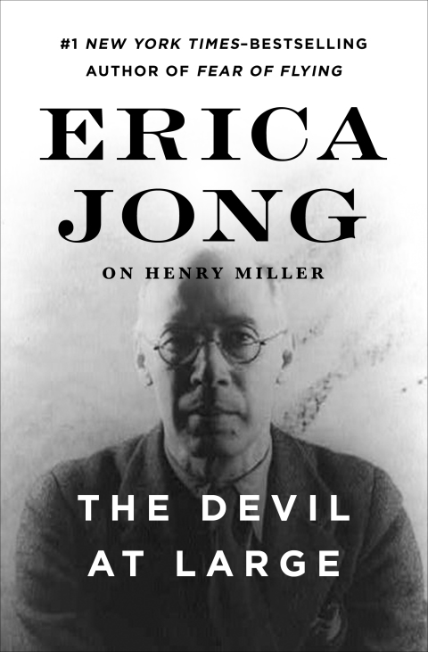 Cover image for book The Devil at Large