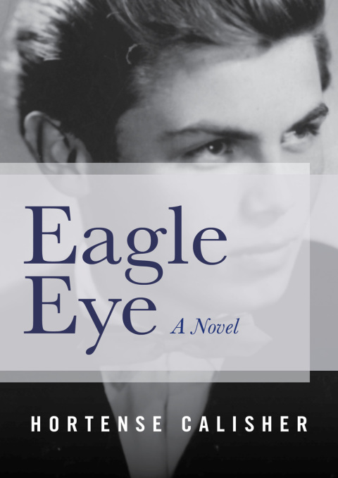 Cover image for book Eagle Eye