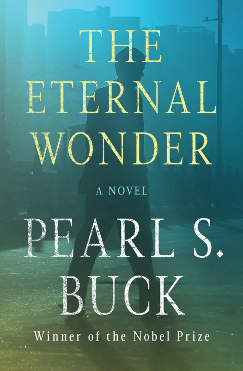 Cover image for book The Eternal Wonder