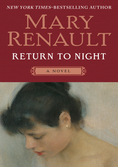 Cover image for book Return to Night