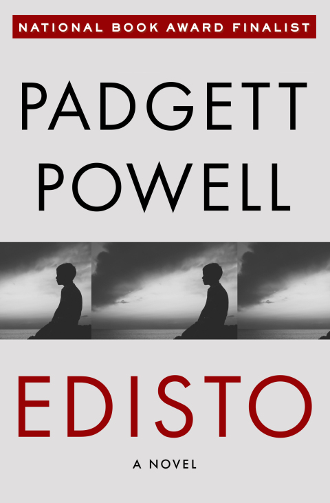 Cover image for book Edisto