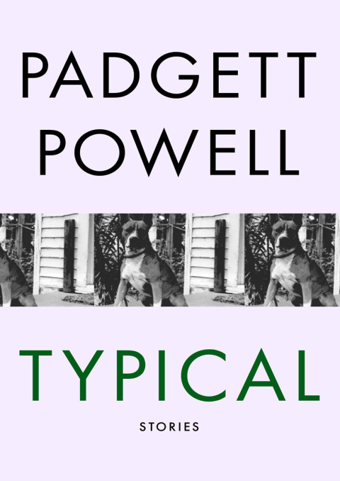 Cover image for book Typical