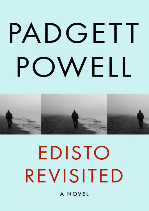 Cover image for book Edisto Revisited