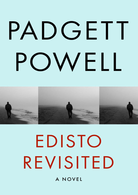 Cover image for book Edisto Revisited