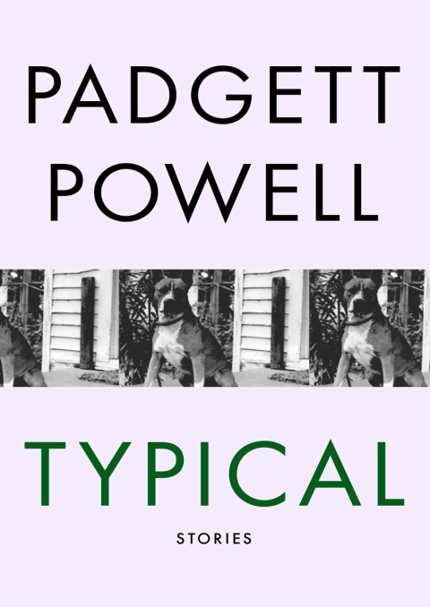 Cover image for book Typical