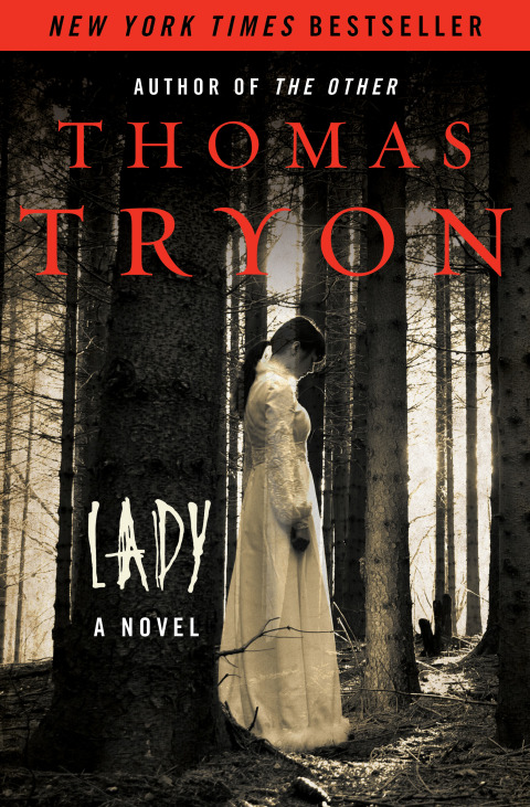 Cover image for book Lady