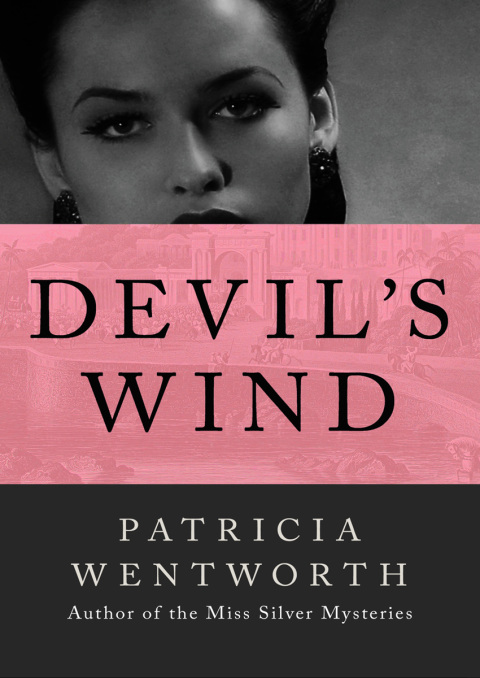 Cover image for book Devil's Wind