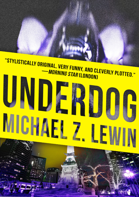 Cover image for book Underdog