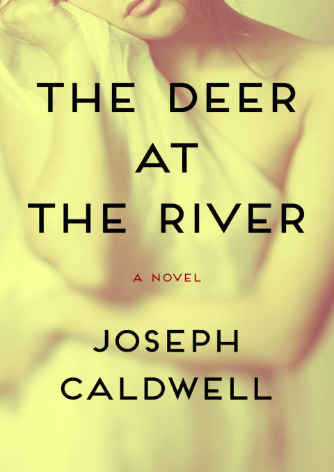 Cover image for book The Deer at the River