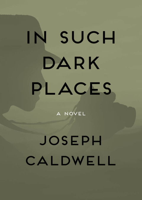 Cover image for book In Such Dark Places