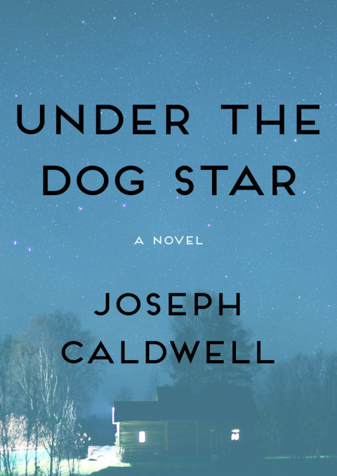 Cover image for book Under the Dog Star