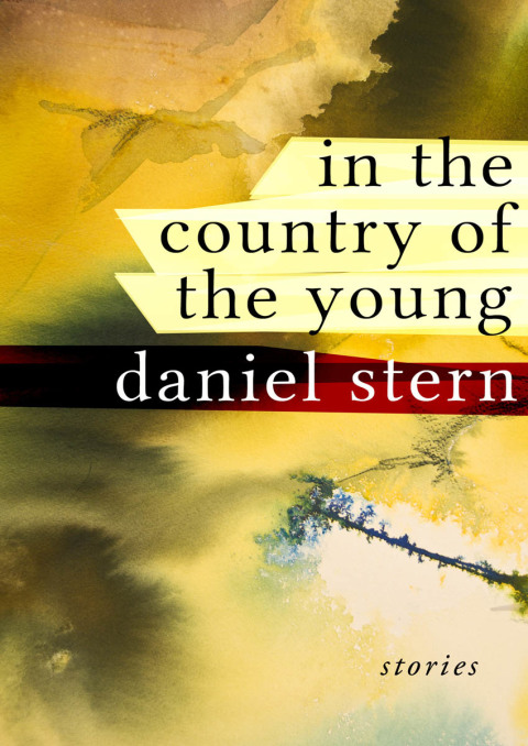 Cover image for book In the Country of the Young