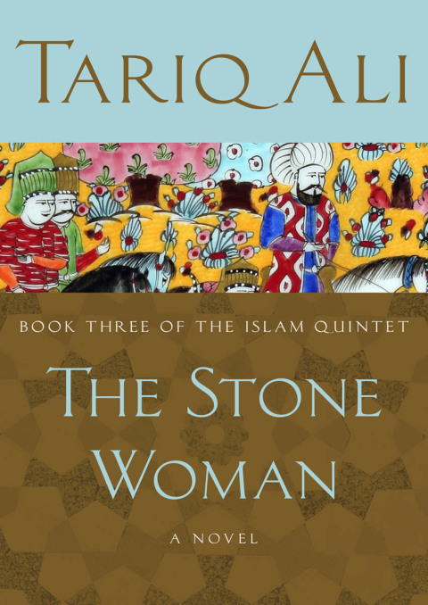 Cover image for book The Stone Woman