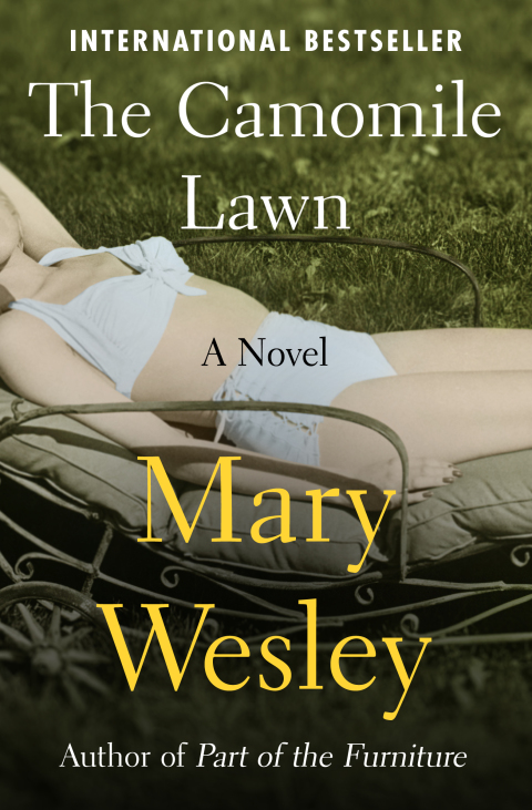 Cover image for book The Camomile Lawn