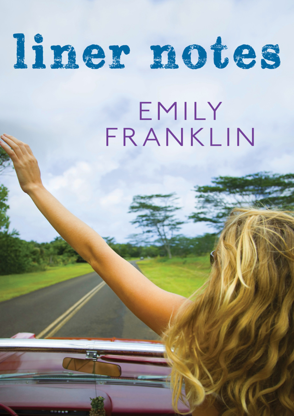 Liner Notes (eBook)
