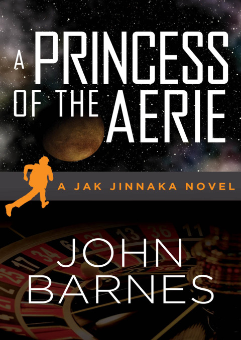 Cover image for book A Princess of the Aerie