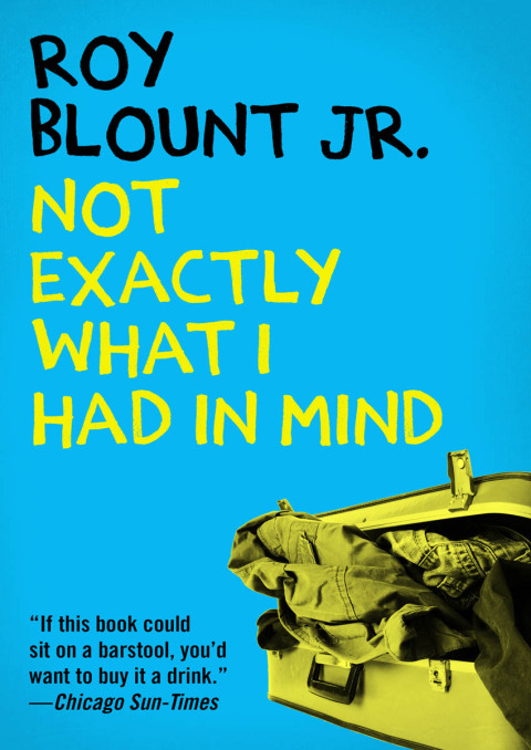 Cover image for book Not Exactly What I Had in Mind