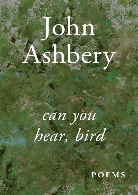 Cover image for book Can You Hear, Bird