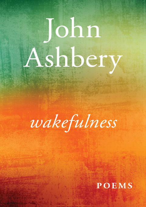 Cover image for book Wakefulness