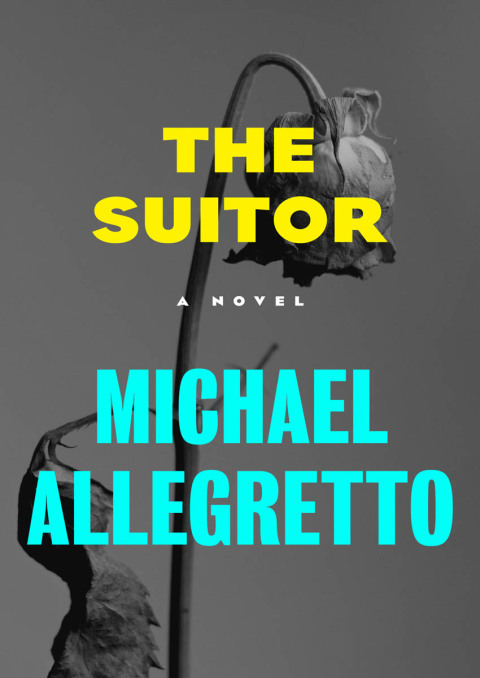 Cover image for book The Suitor