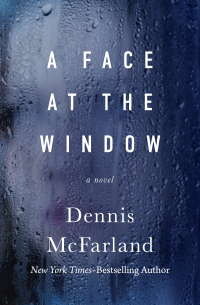 Cover image: A Face at the Window 9781504074162