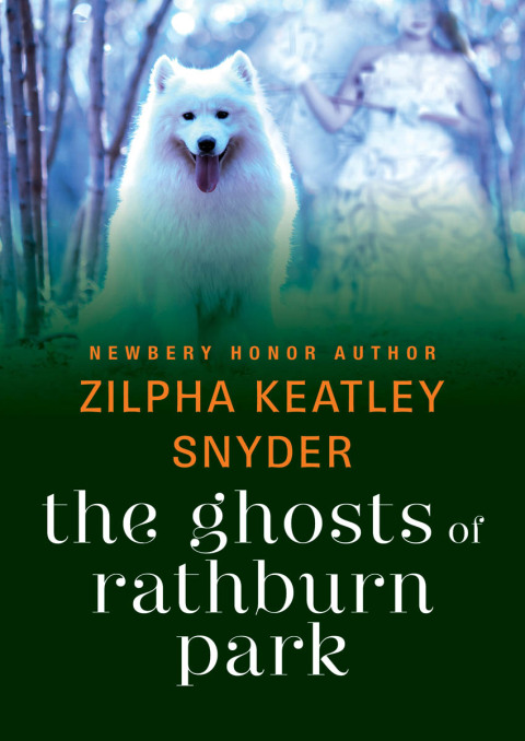 Cover image for book The Ghosts of Rathburn Park