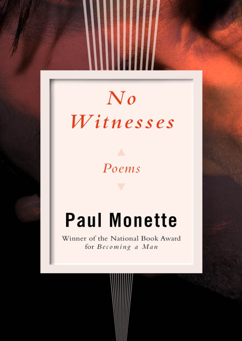 Cover image for book No Witnesses